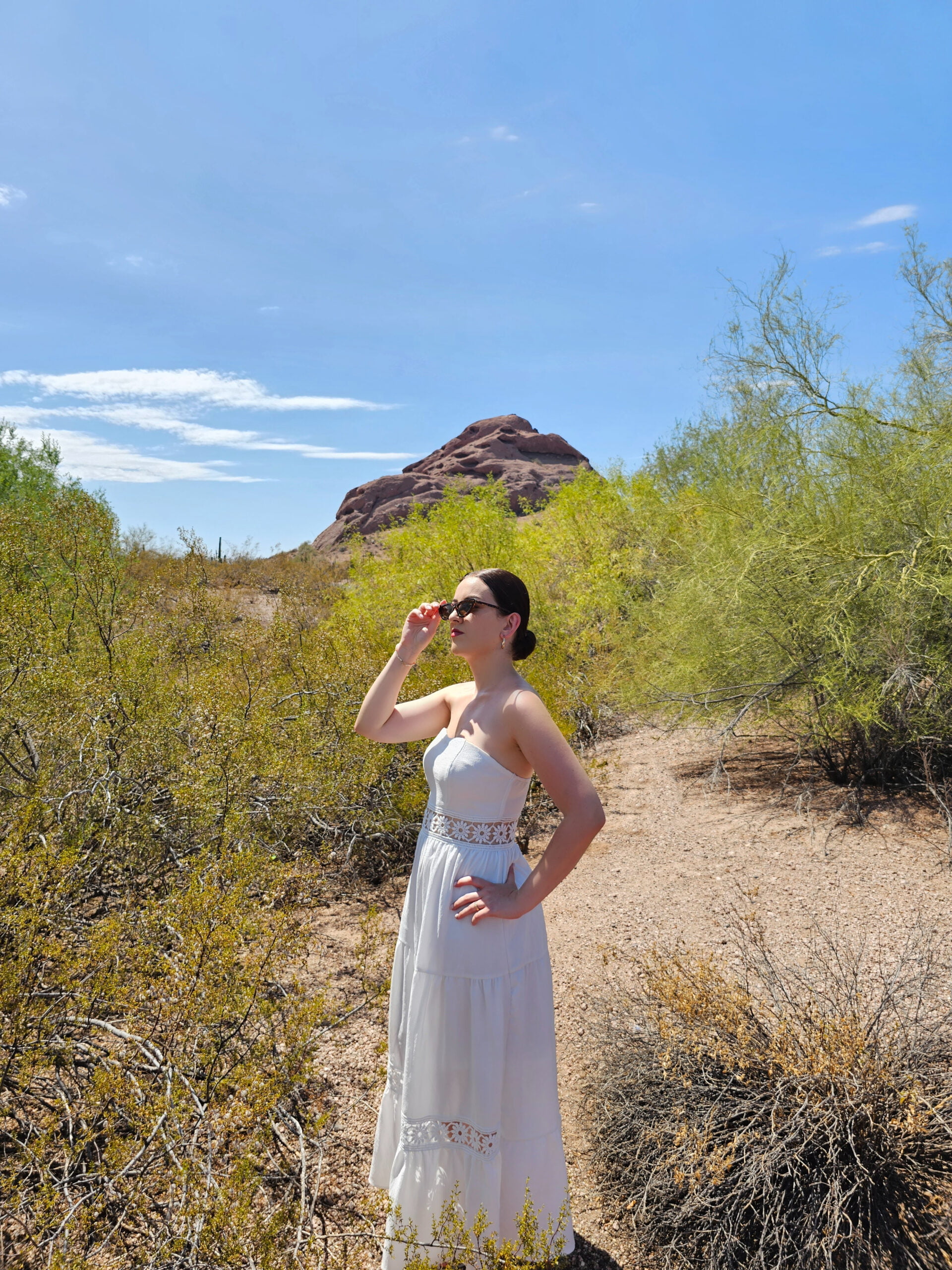 Sonoran-Dessert-Scottsdale-Arizona-2